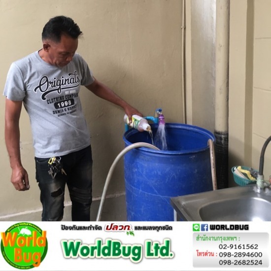 บริษัทกําจัดปลวก ใกล้ฉัน บริษัทกําจัดปลวก ใกล้ฉัน  กำจัดปลวก ราคาไม่แพง  ฉีดปลวก รับกำจัดปลวกระบบเหยื่อ 