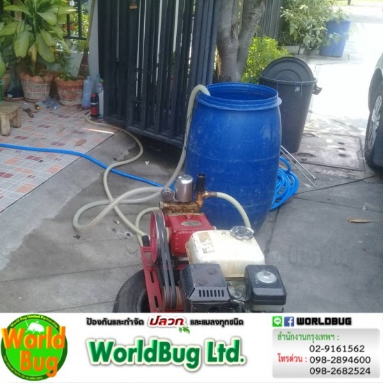 กำจัดแมลงราคาถูก