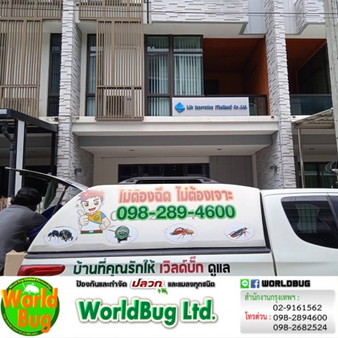 ทีมงานกำจัดปลวกราคาถูก