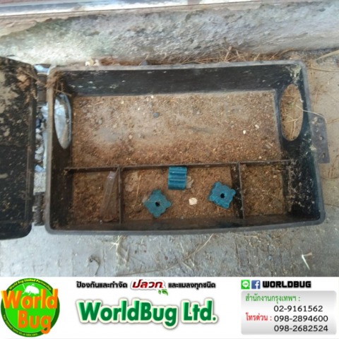 รับกําจัดปลวก มีนบุรี