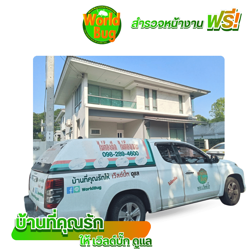 รับฉีดปลวก