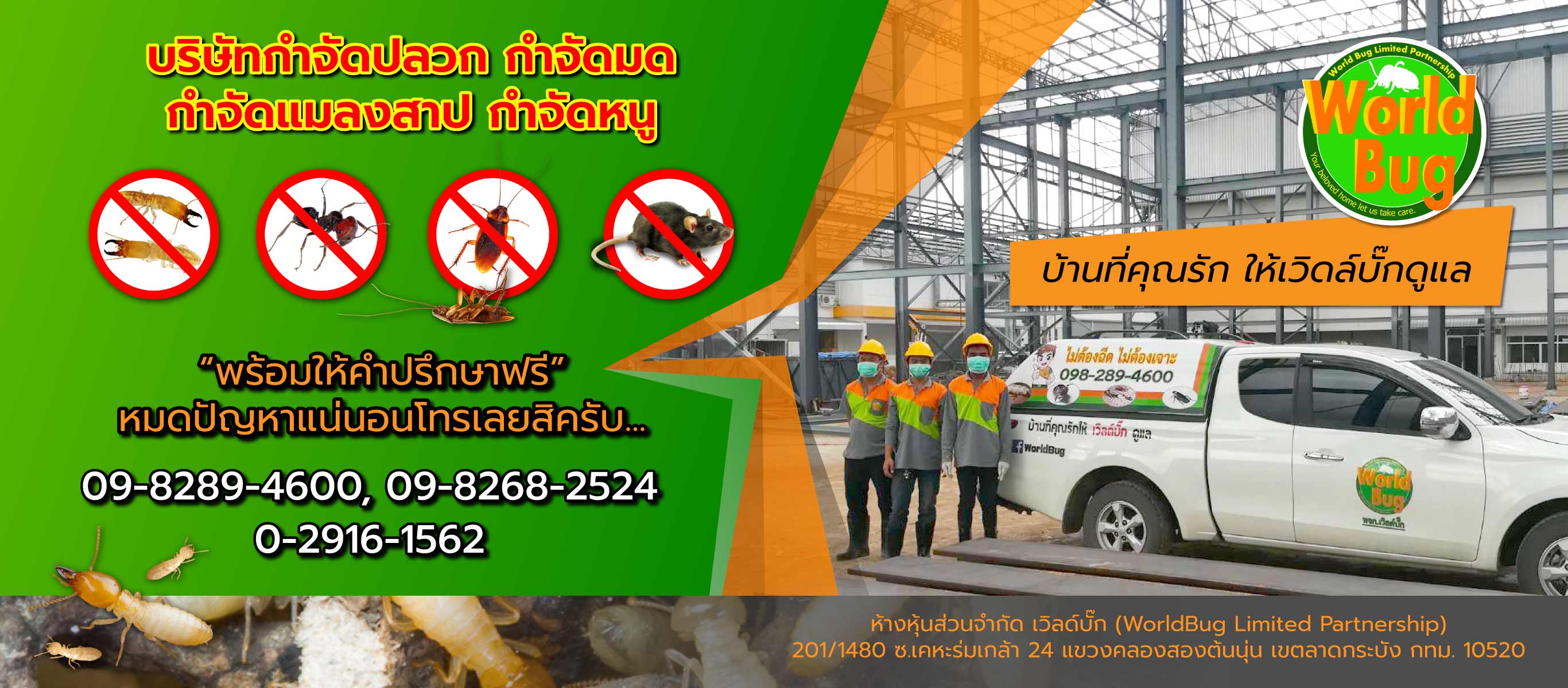 บริษัทกำจัดปลวก ฉีดปลวก ราคาถูก