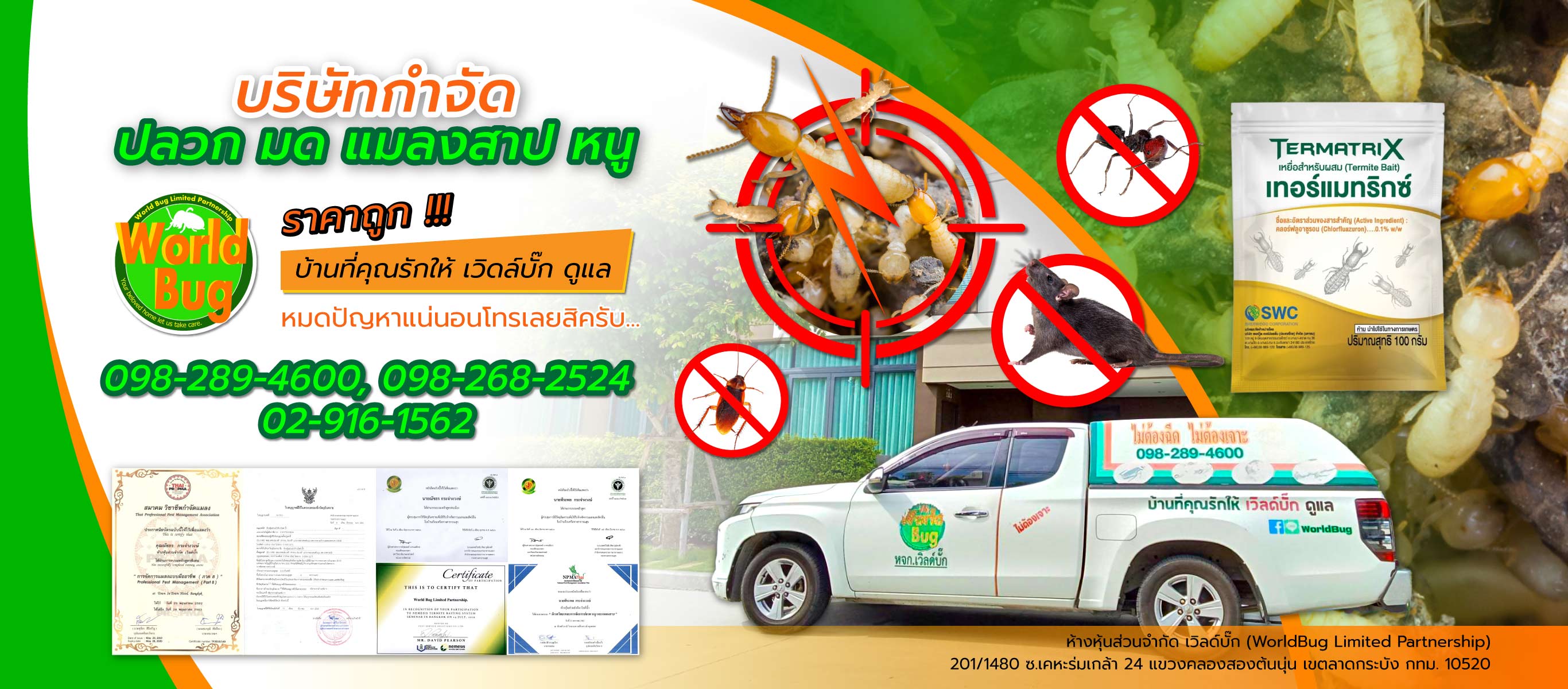เวิล์ดบั๊ก กำจัดปลวกราคาถูก